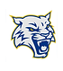 Logan High School Football